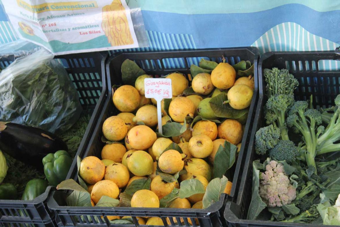 gelbe Guayaba und mehr frisches Saisonobst auf dem Bauernmarkt von Los Silos